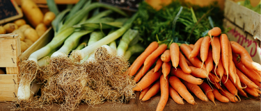 What We Lost When We Stopped Eating With the Seasons