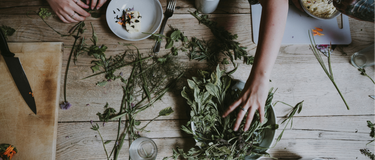 Herbal Actions 101: How Herbalists Describe the Healing Power of Plants