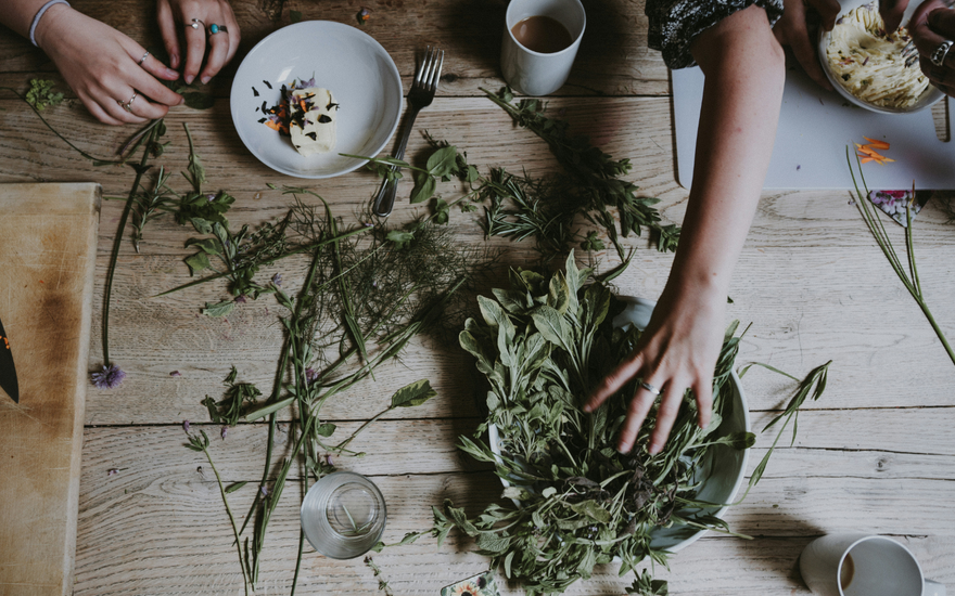 Herbal Actions 101: How Herbalists Describe the Healing Power of Plants