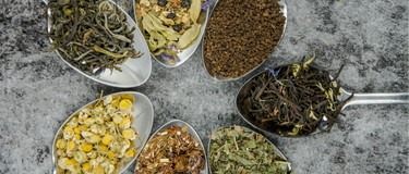 5 Medicinal Herbs Every Kitchen Should Have
