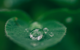 Living With the Seasons: Small Ways to Feel More Connected to Nature