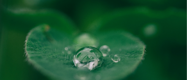 Living With the Seasons: Small Ways to Feel More Connected to Nature