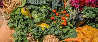 Eating the Same Five “Healthy” Foods Every Day? Here’s How to Branch Out