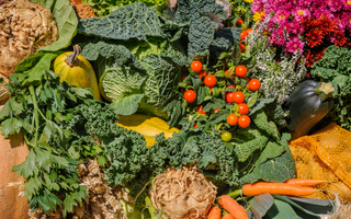 The Health Benefits of Eating More Colour