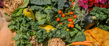 The Health Benefits of Eating More Colour