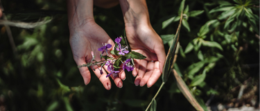 Why Do You Feel So Drained Before Your Period? How Herbalism Can Help