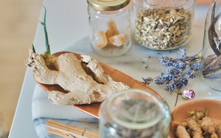Why Herbalists Focus on Digestion First