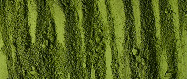 Chlorella: The Deeply Nourishing Algae From Earth’s Freshwaters