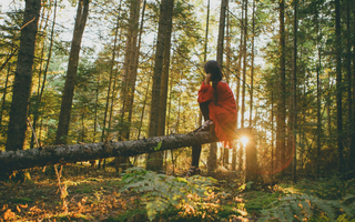 The Health Benefits of Nature: Why Your Body and Brain Need the Outdoors