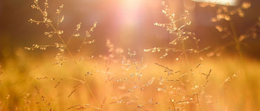 How To Create The Perfect Morning Routine For A Balanced Mind, Body & Spirit