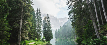 4 Incredible Benefits of Nature That Will Transform Your Health